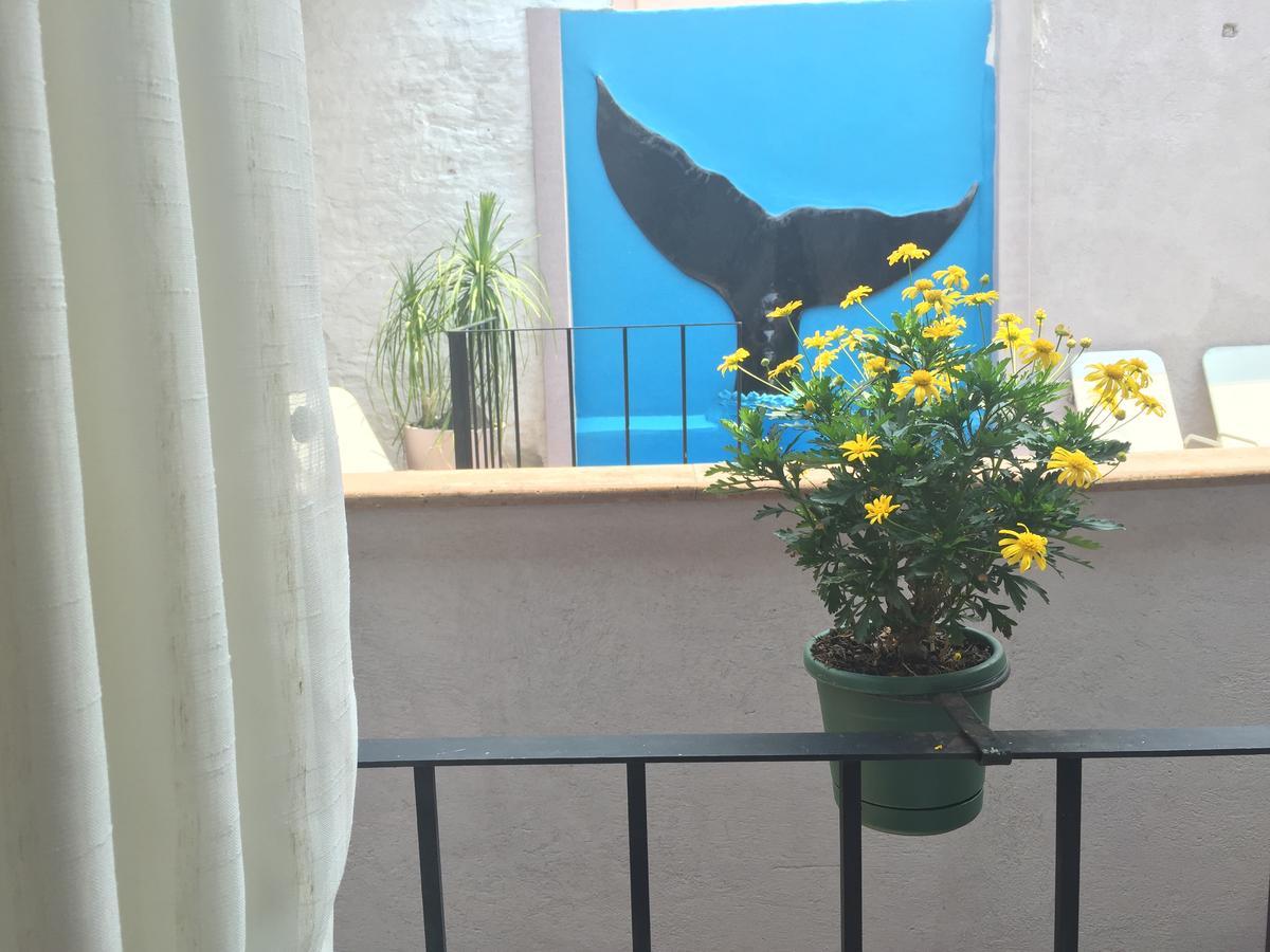 Suites Colibri San Miguel de Allende Kültér fotó